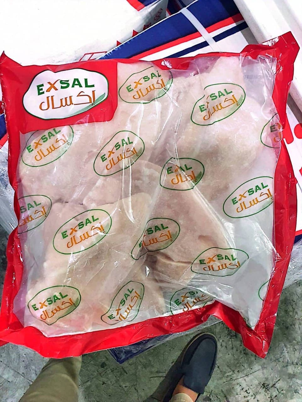 صدور دجاج